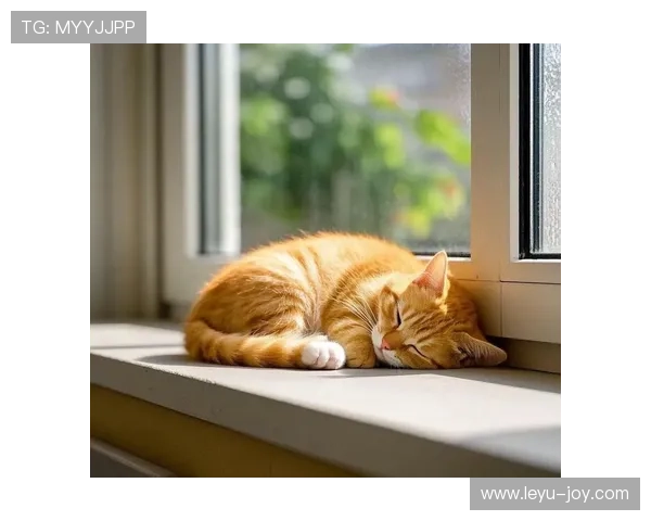 听说陈艺文家里连猫都比我工资高？真的假的？