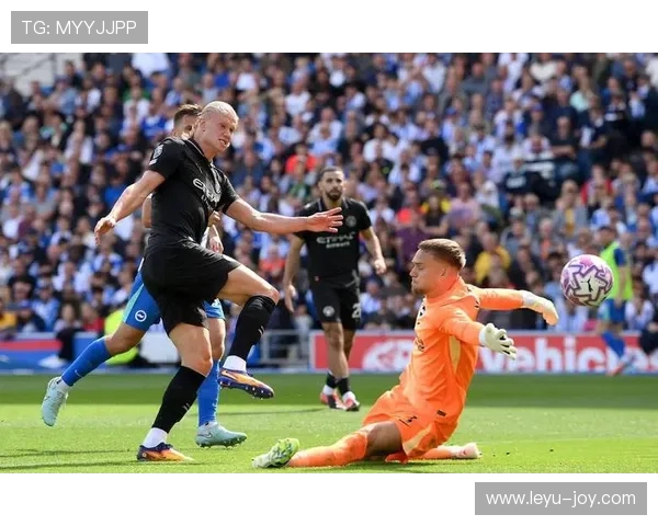 哈兰德传球视野的局限性解析