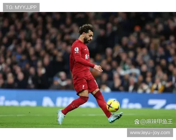 努涅斯与萨拉赫战术角色与进攻效率对比分析