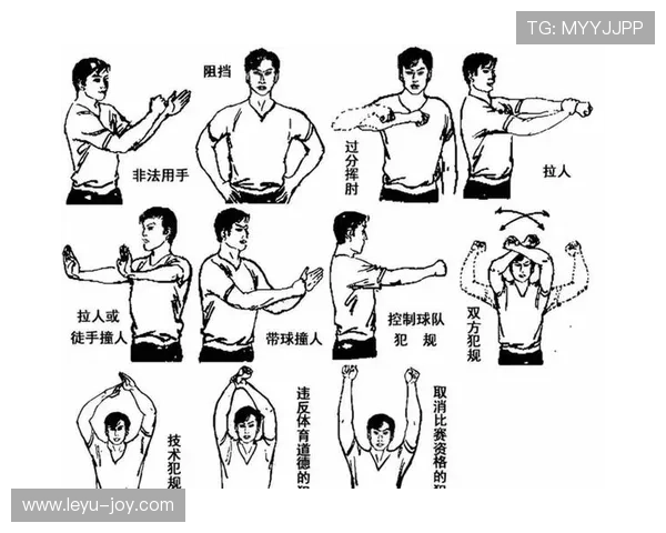 场上不可抗力中断比赛，裁判规则如何保障公平判罚？